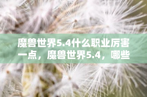 魔兽世界5.4什么职业厉害一点，魔兽世界5.4，哪些职业在版本更新后表现突出？