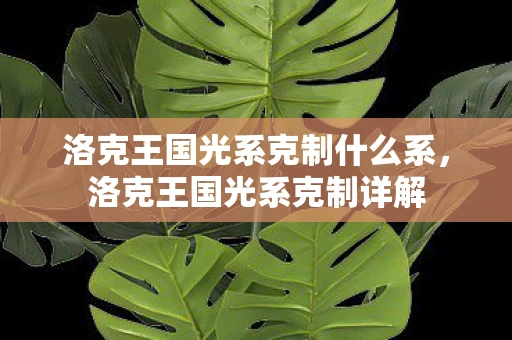 洛克王国光系克制什么系，洛克王国光系克制详解