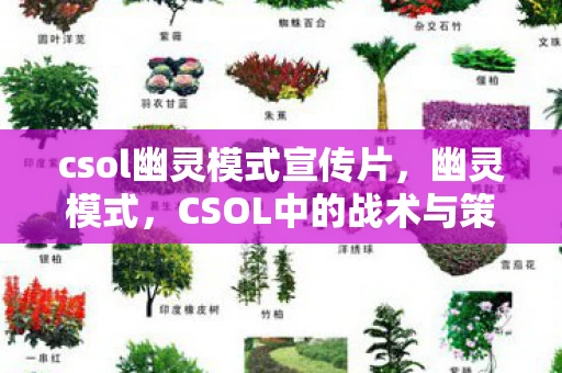 csol幽灵模式宣传片，幽灵模式，CSOL中的战术与策略