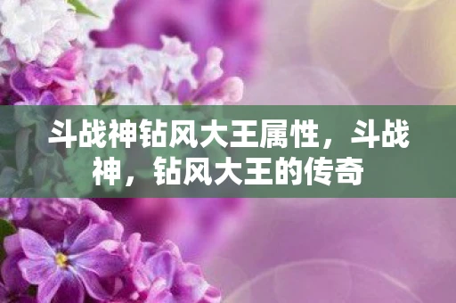 斗战神钻风大王属性，斗战神，钻风大王的传奇