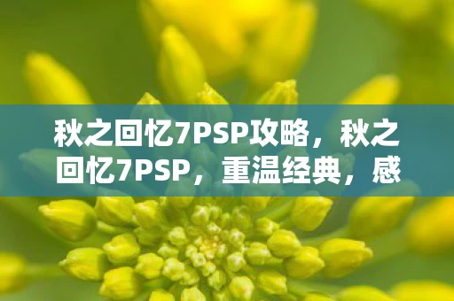 秋之回忆7PSP攻略，秋之回忆7PSP，重温经典，感受青春