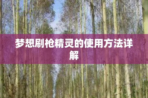 梦想刷枪精灵的使用方法详解图片