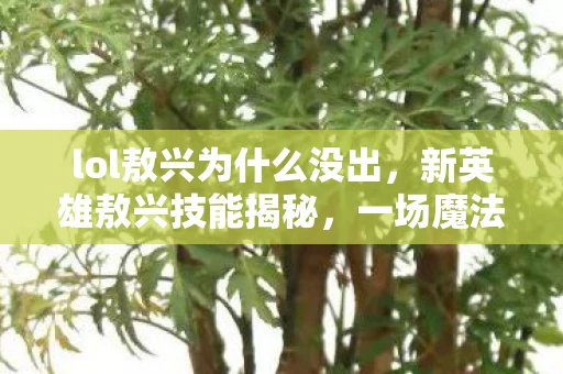 lol敖兴为什么没出，新英雄敖兴技能揭秘，一场魔法与策略的盛宴