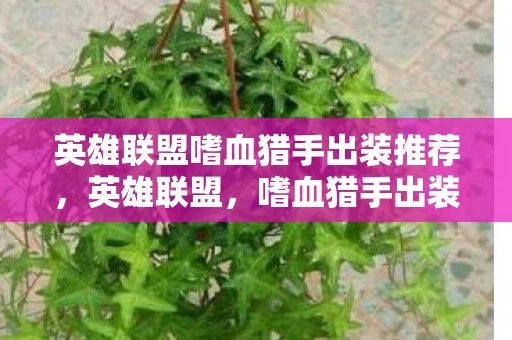 英雄联盟嗜血猎手出装推荐，英雄联盟，嗜血猎手出装指南