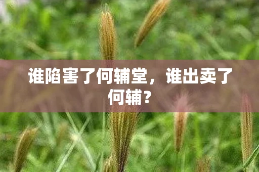 谁陷害了何辅堂，谁出卖了何辅？