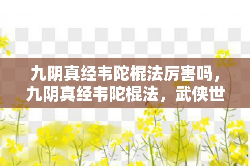 九阴真经韦陀棍法厉害吗，九阴真经韦陀棍法，武侠世界中的绝世武技
