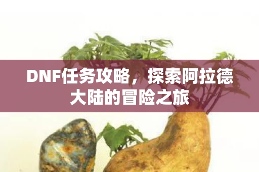 探索阿拉德大陆的冒险之旅图片