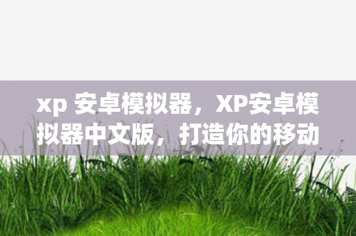 xp 安卓模拟器，XP安卓模拟器中文版，打造你的移动应用测试与体验神器