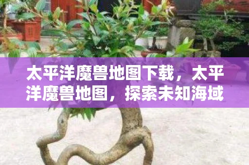 太平洋魔兽地图下载，太平洋魔兽地图，探索未知海域的奇幻之旅