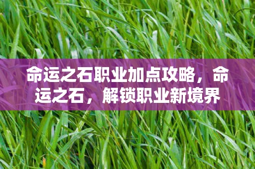 命运之石职业加点攻略，命运之石，解锁职业新境界