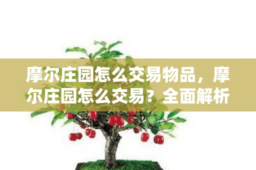 摩尔庄园怎么交易物品，摩尔庄园怎么交易？全面解析交易系统