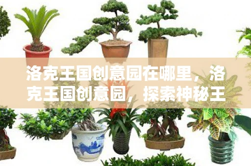 洛克王国创意园在哪里，洛克王国创意园，探索神秘王国的奇妙之旅