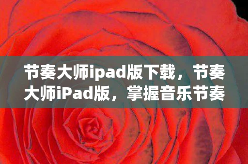 节奏大师ipad版下载，节奏大师iPad版，掌握音乐节奏的新体验