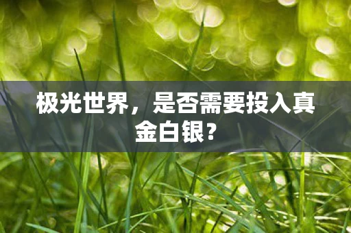 是否需要投入真金白银图片