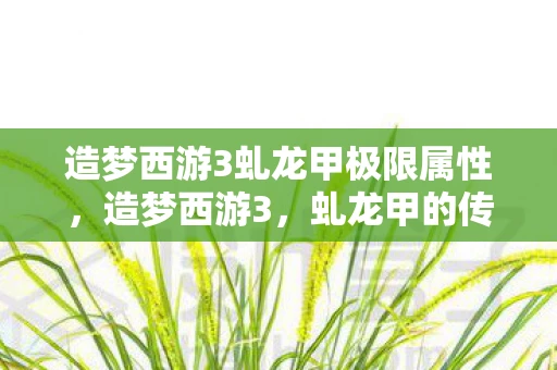 造梦西游3虬龙甲极限属性，造梦西游3，虬龙甲的传奇故事