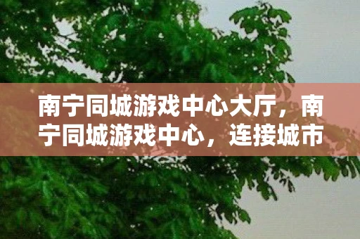 南宁同城游戏中心大厅，南宁同城游戏中心，连接城市玩家的欢乐纽带
