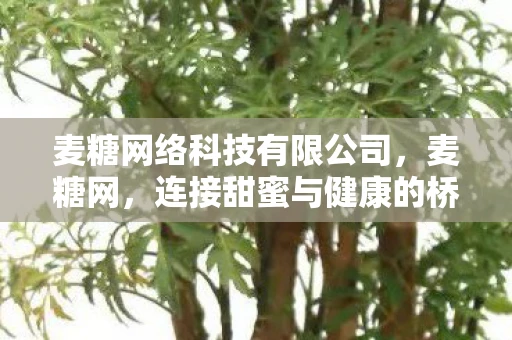 麦糖网络科技有限公司，麦糖网，连接甜蜜与健康的桥梁