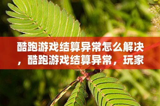 酷跑游戏结算异常怎么解决，酷跑游戏结算异常，玩家遭遇的困境与解决之道