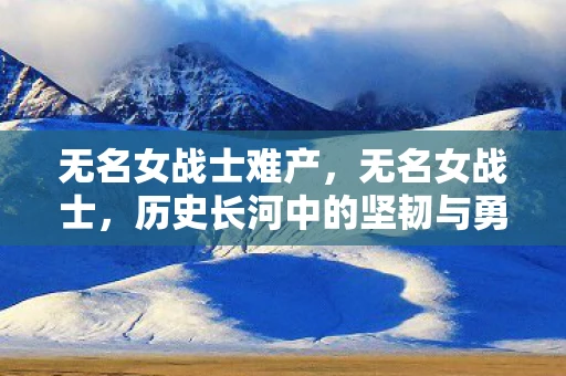 无名女战士难产，无名女战士，历史长河中的坚韧与勇气