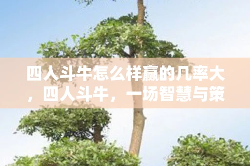 四人斗牛怎么样赢的几率大，四人斗牛，一场智慧与策略的较量