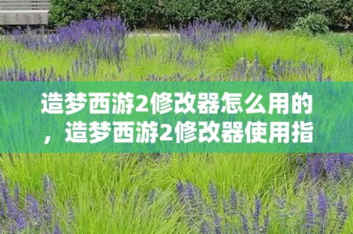 造梦西游2修改器怎么用的，造梦西游2修改器使用指南，打造你的专属游戏神器