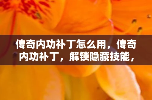 传奇内功补丁怎么用，传奇内功补丁，解锁隐藏技能，重塑经典传奇