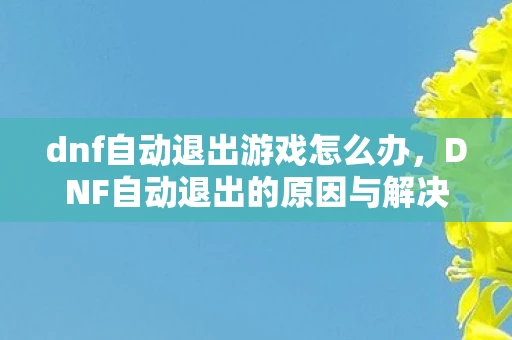 dnf自动退出游戏怎么办，DNF自动退出的原因与解决方法