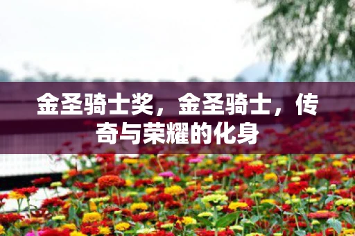 金圣骑士奖，金圣骑士，传奇与荣耀的化身