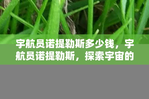 宇航员诺提勒斯多少钱，宇航员诺提勒斯，探索宇宙的传奇之旅