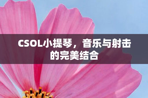 音乐与射击的完美结合图片