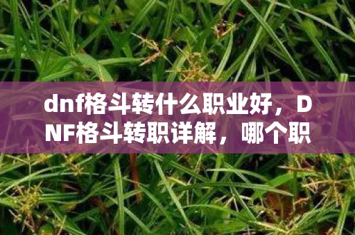 dnf格斗转什么职业好，DNF格斗转职详解，哪个职业最适合你？
