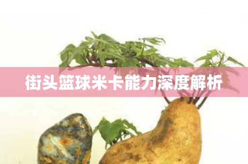 街头篮球米卡能力深度解析图片