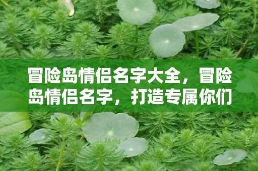 冒险岛情侣名字大全，冒险岛情侣名字，打造专属你们的浪漫符号