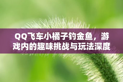游戏内的趣味挑战与玩法深度解析图片