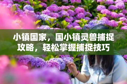 小镇国家，国小镇灵兽捕捉攻略，轻松掌握捕捉技巧