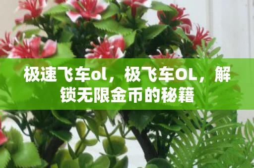 极速飞车ol，极飞车OL，解锁无限金币的秘籍