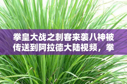 拳皇大战之刺客来袭八神被传送到阿拉德大陆视频，拳皇大战之刺客来袭