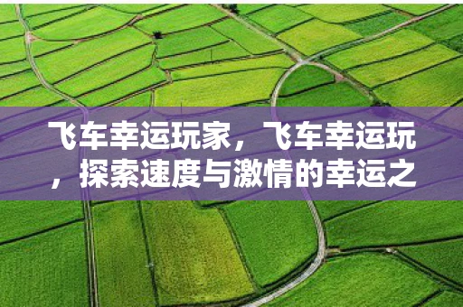 飞车幸运玩家，飞车幸运玩，探索速度与激情的幸运之旅