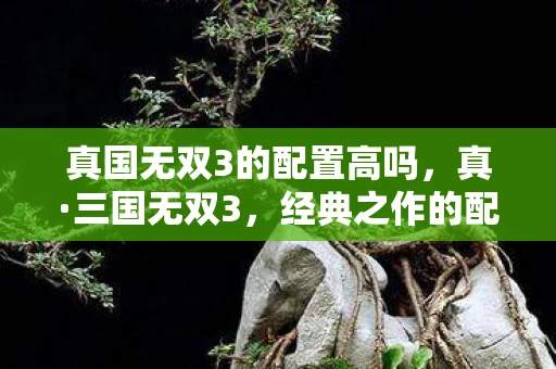 真国无双3的配置高吗，真·三国无双3，经典之作的配置需求与体验