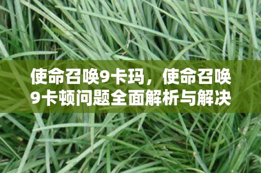 使命召唤9卡玛，使命召唤9卡顿问题全面解析与解决指南