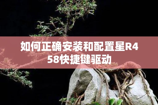 如何正确安装和配置星R458快捷键驱动