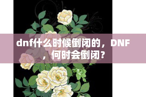 dnf什么时候倒闭的，DNF，何时会倒闭？
