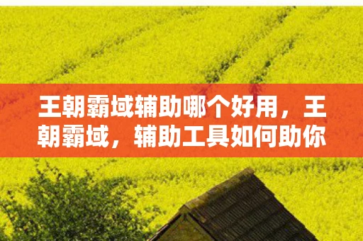 王朝霸域辅助哪个好用，王朝霸域，辅助工具如何助你称霸游戏世界