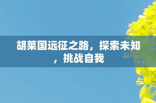 胡莱国远征之路，探索未知，挑战自我