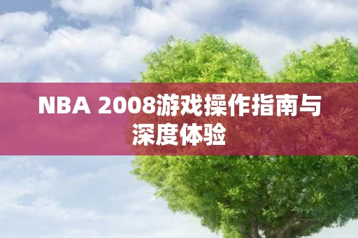 NBA 2008游戏操作指南与深度体验图片