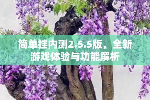 全新游戏体验与功能解析图片