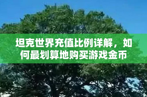 坦克世界充值比例详解，如何最划算地购买游戏金币