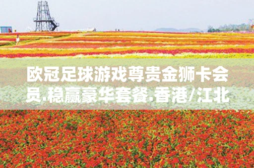 欧冠足球游戏尊贵金狮卡会员.稳赢豪华套餐.香港/江北，欧冠足球游戏，虚拟赛场上的激情与策略