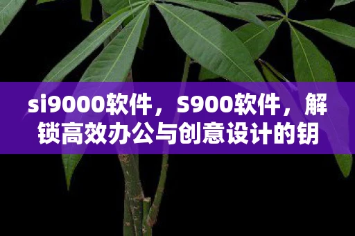 si9000软件，S900软件，解锁高效办公与创意设计的钥匙