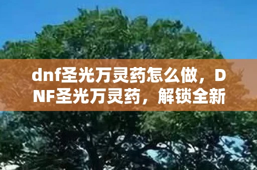 dnf圣光万灵药怎么做，DNF圣光万灵药，解锁全新战斗体验